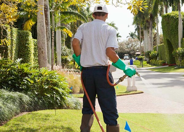 About Queen Creek AZ Pest Control Pros